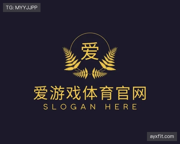 介绍爱游戏